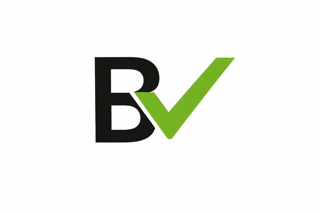 B&Vsolutions
